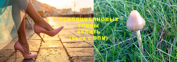 крисы Абинск
