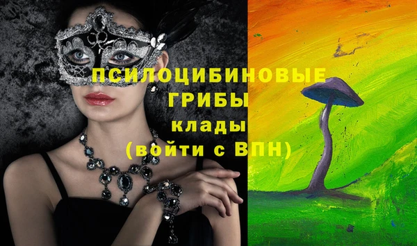 мдпв Приозерск