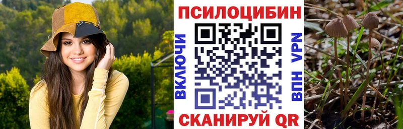 Галлюциногенные грибы прущие грибы Моршанск